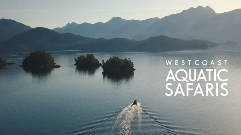 West Coast Aquatic Safaris