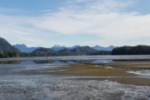 Tofino Mudflats Wildlife Management Area