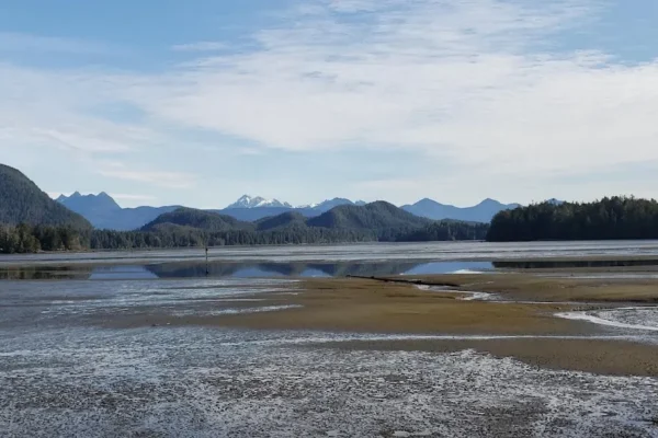 Tofino Mudflats Wildlife Management Area