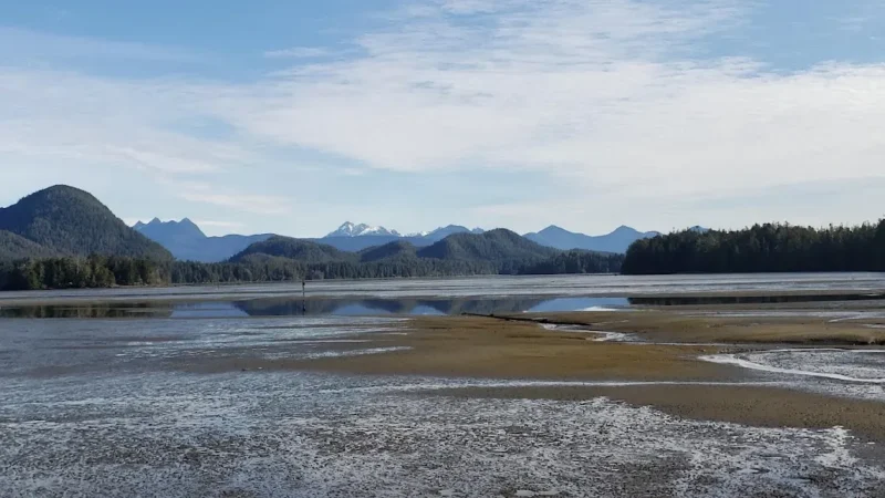 Tofino Mudflats Wildlife Management Area