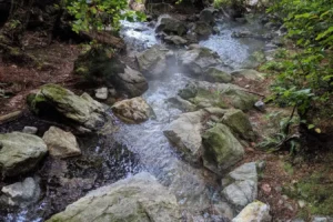 Maquinna Marine Provincial Park