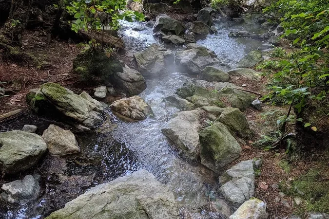 Maquinna Marine Provincial Park