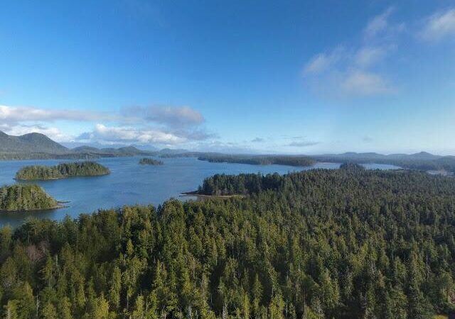 Little Costa Rica Cafe