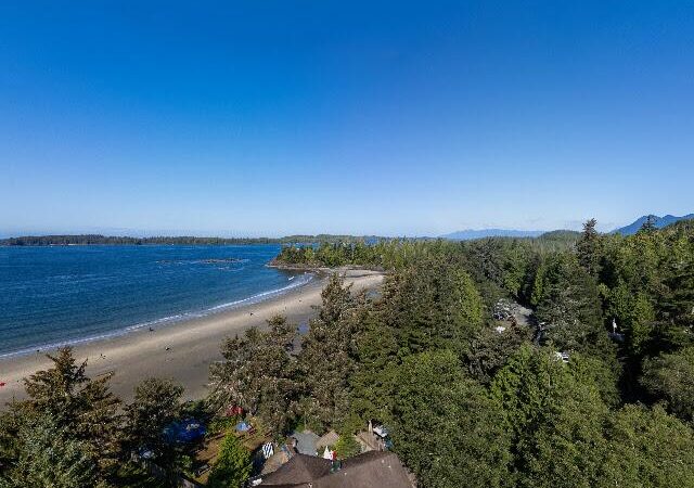 Lil’ Ronnie’s Beachside BBQ