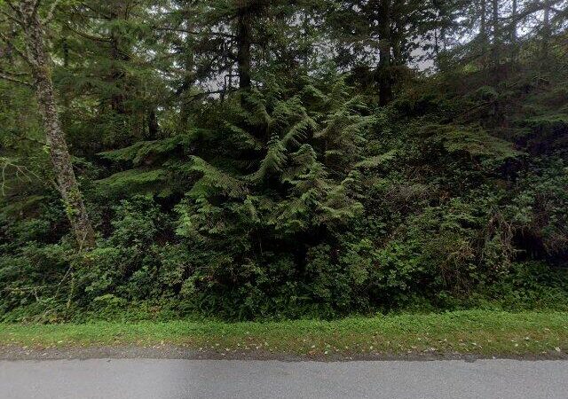 Blue Bear Bed and Breakfast