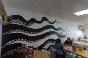 Adventure Tofino Wildlife Tours